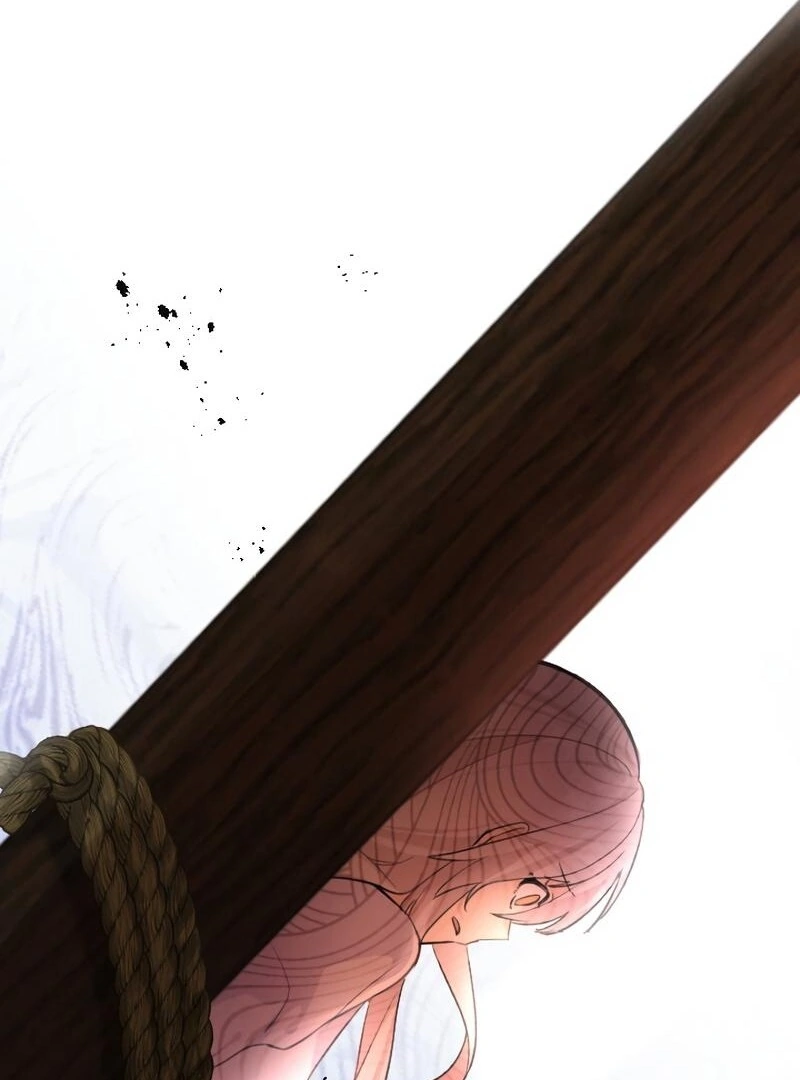 67008489 800 1080 67562